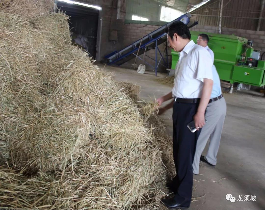 發展特色產業，助力扶貧與鄉村振興